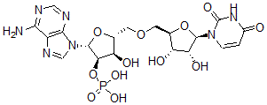 CAS#: 10453-52-8， Uridylyl-(2'-5')-Adenosine