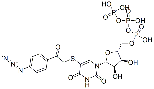 CAS#: 120853-61-4， 5-((4-Azidophenacyl)Thio)Uridine 5'-Triphosphate