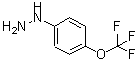 structure of CAS# 13957-54-5, [4-(Trifluoromethoxy)Phenyl]Hydrazine;(4-(trifluoromethoxy)phenyl)hydrazine;1-[4-(Trifluoromethoxy)phenyl]hydrazine #;4-(trifluoromethoxy)phenylhydrazine