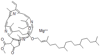 CAS#: 14751-08-7， Protochlorophyll a
