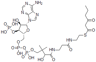 CAS#: 19774-86-8， 3-Ketohexanoyl-Coenzyme A