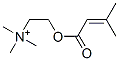 CAS#: 20284-79-1， Senecioylcholine