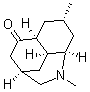 CAS#: 21041-42-9， (3R,4aS,5S,7S,8aR)-Decahydro-1,7- dimethyl-3,5-Ethanoquinolin-10-one
