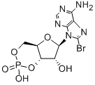 structure of CAS# 23583-48-4, 8-Bromo-Adenosine Cyclic 3',5'-(Hydrogen Phosphate);(1S,6R,8R,9R)-8-(6-Amino-8-Bromo-Purin-9-Yl)-3-Hydroxy-3-Oxo-2,4,7-Trioxa-3$L^{5}-Phosphabicyclo[4.3.0]Nonan-9-Ol;(1S,6R,8R,9R)-8-(6-Amino-8-Bromo-9-Purinyl)-3-Hydroxy-3-Oxo-2,4,7-Trioxa-3$L^{5}-Phosphabicyclo[4.3.0]Nonan-9-Ol;(1S,6R,8R,9R)-8-(6-Amino-8-Bromo-Purin-9-Yl)-3-Hydroxy-3-Keto-2,4,7-Trioxa-3$L^{5}-Phosphabicyclo[4.3.0]Nonan-9-Ol