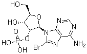 CAS#: 23583-49-5， 8-Bromo-2'-Amp