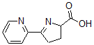 CAS#: 26927-08-2， 3,4-Dihydro-5-(2-pyridinyl)-2H-Pyrrole-2-carboxylic acid