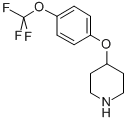 structure of CAS# 287952-67-4, 4-[4-(Trifluoromethoxy)Phenoxy]Piperidine;Piperidine, 4-[4-(Trifluoromethoxy)Phenoxy]-