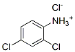 结构式 CAS# 29084-76-2, 2,4-二氯苯胺盐酸盐