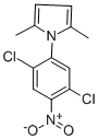 structure of CAS# 302901-02-6, 1-(2,5-Dichloro-4-Nitrophenyl)-2,5-Dimethyl-1H-Pyrrole;1-(2,5-DICHLORO-4-NITROPHENYL)-2,5-DIMETHYL-1H-PYRROLE