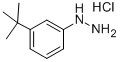 structure of CAS# 306937-27-9, 1-[3-(Tert-Butyl)Phenyl]Hydrazine Hydrochloride;1-[3-(Tert-Butyl)Phenyl]Hydrazine Hydrochloride , Tech;1-[3-(TERT-BUTYL)PHENYL]HYDRAZINE HYDROCHLORIDE;1-[3-(T-Butyl)Phenyl]Hydrazine Hydrochloride