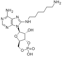 structure of CAS# 39824-30-1, 8-Aminohexylamino-adenosine cyclic monophosphate;(1S,6R,8R,9R)-8-[6-Amino-8-[(Amino-Pentyl-Amino)Methyl]Purin-9-Yl]-3-Hydroxy-3-Oxo-2,4,7-Trioxa-3$L^{5}-Phosphabicyclo[4.3.0]Nonan-9-Ol;(1S,6R,8R,9R)-8-[6-Amino-8-[(Amino-Pentylamino)Methyl]-9-Purinyl]-3-Hydroxy-3-Oxo-2,4,7-Trioxa-3$L^{5}-Phosphabicyclo[4.3.0]Nonan-9-Ol;(1S,6R,8R,9R)-8-[6-Amino-8-[(Amino-Amyl-Amino)Methyl]Purin-9-Yl]-3-Hydroxy-3-Keto-2,4,7-Trioxa-3$L^{5}-Phosphabicyclo[4.3.0]Nonan-9-Ol