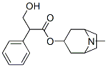 CAS#: 4438-22-6， Atropine