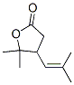 CAS#: 473-50-7， 4,5-Dihydro-5,5-Dimethyl-4-(2-Methyl-1-Propenyl)Furan-2(3H)-One