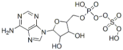 CAS 登录号：485-84-7， 6-氨基-9-[3,4-二羟基-5-[(羟基-磺基氧基-磷酰)氧基甲基]四氢呋喃-2-基]-嘌呤