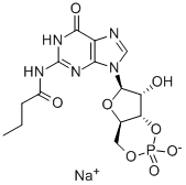 CAS#: 51115-99-2， N2-Monobutyrylguanosine 3',5'-Cyclic Monophosphate Sodium Salt
