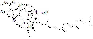 CAS#: 519-63-1， Chlorophyll D