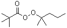 CAS#: 51938-28-4， Tert-Hexyl Peroxypivalate