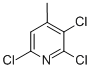 CAS#: 52137-65-2， 2,3,6-Trichloro-4-Methylpyridine