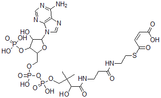 CAS#: 54377-18-3， Maleyl-Coenzyme A