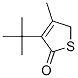 CAS#: 57556-15-7， 4-Methyl-3-Tert-Butyl-5H-Thiophen-2-One