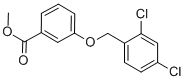 结构式 CAS# 58041-99-9, 3-[(2,4-二氯苄基)氧基]苯甲酸甲酯