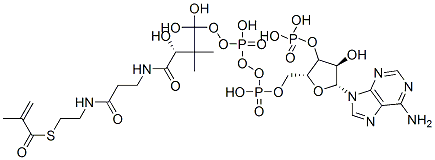CAS#: 6008-91-9， [(2R,3R,4R,5R)-5-(6-Aminopurin-9-Yl)-4-Hydroxy-2-[[Hydroxy-[Hydroxy-[3-Hydroxy-2,2-Dimethyl-3-[2-[2-(2-Methylprop-2-Enoylsulfanyl)Ethylcarbamoyl]Ethylcarbamoyl]Propoxy]Phosphoryl]Oxy-Phosphoryl]Oxymethyl]Oxolan-3-Yl]Oxyphosphonic Acid