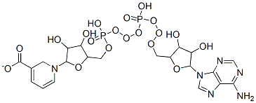 CAS#: 6450-77-7， 1-[5-[[[[5-(6-Aminopurin-9-Yl)-3,4-Dihydroxy-Oxolan-2-Yl]Methoxy-Hydroxy-Phosphoryl]Oxy-Hydroxy-Phosphoryl]Oxymethyl]-3,4-Dihydroxy-Oxolan-2-Yl]Pyridine-5-Carboxylate