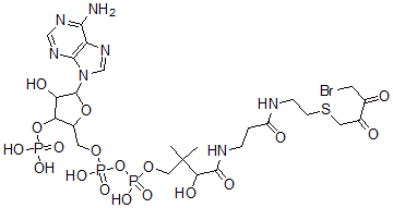 CAS#: 66686-64-4， 4-Bromo-2,3-Dioxobutyl-Coenzyme A