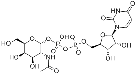 CAS#: 7277-98-7， UDP-N-acetyl-D-mannosamine