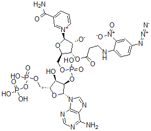 CAS#: 73617-93-3， (2R,3R,4S,5R)-5-[[[(2R,3R,4R,5R)-2-(6-Aminopurin-9-Yl)-4-Hydroxy-5-[(Hydroxy-Phosphonooxyphosphoryl)Oxymethyl]Oxolan-3-Yl]Oxy-Hydroxyphosphoryl]Oxymethyl]-4-[3-[(4-Azido-2-Nitrophenyl)Amino]Propanoyloxy]-2-(3-Carbamoylpyridin-1-Ium-1-Yl)Oxolan-3-Olate