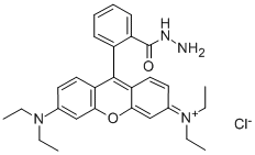 structure of CAS# 74317-53-6, Rhodamine B Hydrazide;Spiro[1H-Isoindole-1,9'-[9H]Xanthen]-3(2H)-One, 2-Amino-3',6'-Bis(Diethylamino)-;RHODAMINE B HYDRAZIDE