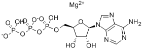 CAS#: 74804-12-9， Adenosine 5'-Triphosphate Magnesium Salt