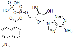 CAS#: 75352-13-5， [[(2R,3S,4R,5R)-5-(6-Aminopurin-9-Yl)-3,4-Dihydroxyoxolan-2-Yl]Methoxy-Phosphonooxyphosphoryl] 5-Dimethylaminonaphthalene-1-Carboxylate