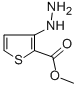structure of CAS# 75681-13-9, Methyl 3-Hydrazinothiophene-2-Carboxylate;3-Hydrazino-2-Thiophenecarboxylic Acid Methyl Ester;3-Hydrazinothiophene-2-Carboxylic Acid Methyl Ester;Methyl 3-Hydrazinothiophene-2-Carboxylate, Tech