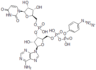CAS#: 76444-18-3， [(2R,3S,4R,5R)-5-(6-Aminopurin-9-Yl)-2-[[[(4-Azidophenoxy)-Hydroxyphosphoryl]Oxy-Hydroxyphosphoryl]Oxymethyl]-4-Hydroxyoxolan-3-Yl] [(2R,3S,4R,5R)-5-(2,4-Dioxopyrimidin-1-Yl)-3,4-Dihydroxyoxolan-2-Yl]Methyl Hydrogen Phosphate