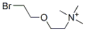CAS 登录号：76584-54-8， 2-(2-溴乙氧基)乙基-三甲基铵