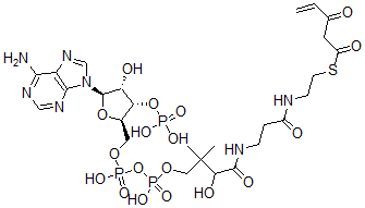 CAS#: 80724-14-7， 3-Keto-4-Pentenoyl-Coenzyme A