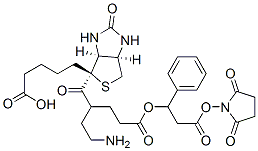 CAS#: 83592-07-8， 3-(4-Biotinoyl-6-Aminocaproyloxy)Phenylpropionic Acid N-Hydroxysuccinimide Ester