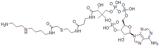 CAS#: 83889-68-3， N-(2-(S-Coenzyme A)Acetyl)Spermidine