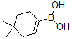 structure of CAS# 865869-28-9, B-(4,4-Dimethyl-1-Cyclohexen-1-Yl)-Boronic Acid;4,4-(DIMETHYLCYCLOHEXEN-1-YL)BENZENEBORONIC ACID;(4,4-Dimethylcyclohex-1-En-1-Yl)Boronic Acid;4,4-Dimethylcyclohexen-1-Ylboronic Acid 97%