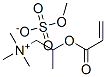 CAS#: 93941-90-3， Trimethyl-2-[(Oxoallyl)Oxy]Propylammonium Methyl Sulphate