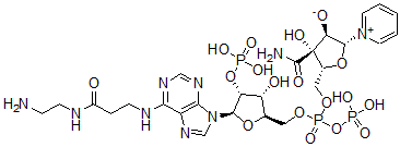 CAS#: 95754-67-9， N(6)-(N-(2-Aminoethyl)Carbamoyl)-NADP
