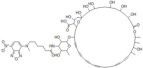 CAS#: 96475-98-8， Nbd-Nystatin