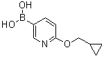 structure of CAS# 1028749-31-6, 2-(Cyclopropylmethoxy)pyridin-5-ylboronic acid
