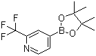 structure of CAS# 1036990-42-7, 2-Trifluoromethylpyridine-4-boronic acid pinacol ester;4-(4,4,5,5-Tetramethyl-1,3,2-dioxaborolan-2-yl)-2-(trifluoromethyl)pyridine