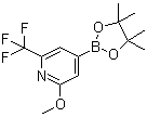 结构式 CAS# 1150561-66-2, 2-甲氧基-6-三氟甲基吡啶-4-硼酸频哪醇酯