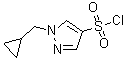 结构式 CAS# 1178919-63-5, 1-(环丙基甲基)-1H-吡唑-4-磺酰氯