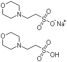 结构式 CAS# 117961-21-4, 2-吗啉乙磺酸半钠盐