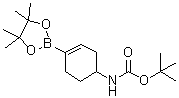 structure of CAS# 1251732-64-5, tert-Butyl [4-(4,4,5,5-tetramethyl-1,3,2-dioxaborolan-2-yl)cyclohex-3-enyl]carbamate
