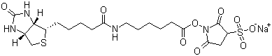 结构式 CAS# 127062-22-0, 6-(生物素酰胺)己酸磺酸基琥珀酰亚胺酯钠盐; 6-[[5-(六氢-2-氧代-1H-噻吩并[3,4-d]咪唑-4-基)-1-氧代戊基]氨基]己酸 2,5-二氧代-3-磺酸-1-吡咯烷基酯钠盐 (1:1)